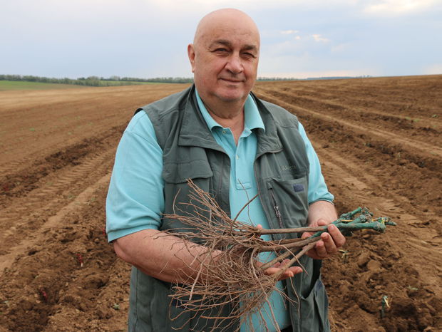 Vinum Nobile: víno môže dať krajine viac a očariť svetových expertov. Nadišiel čas premeniť medaily na komerčný úspech